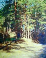 Rudnik Pines Landscape